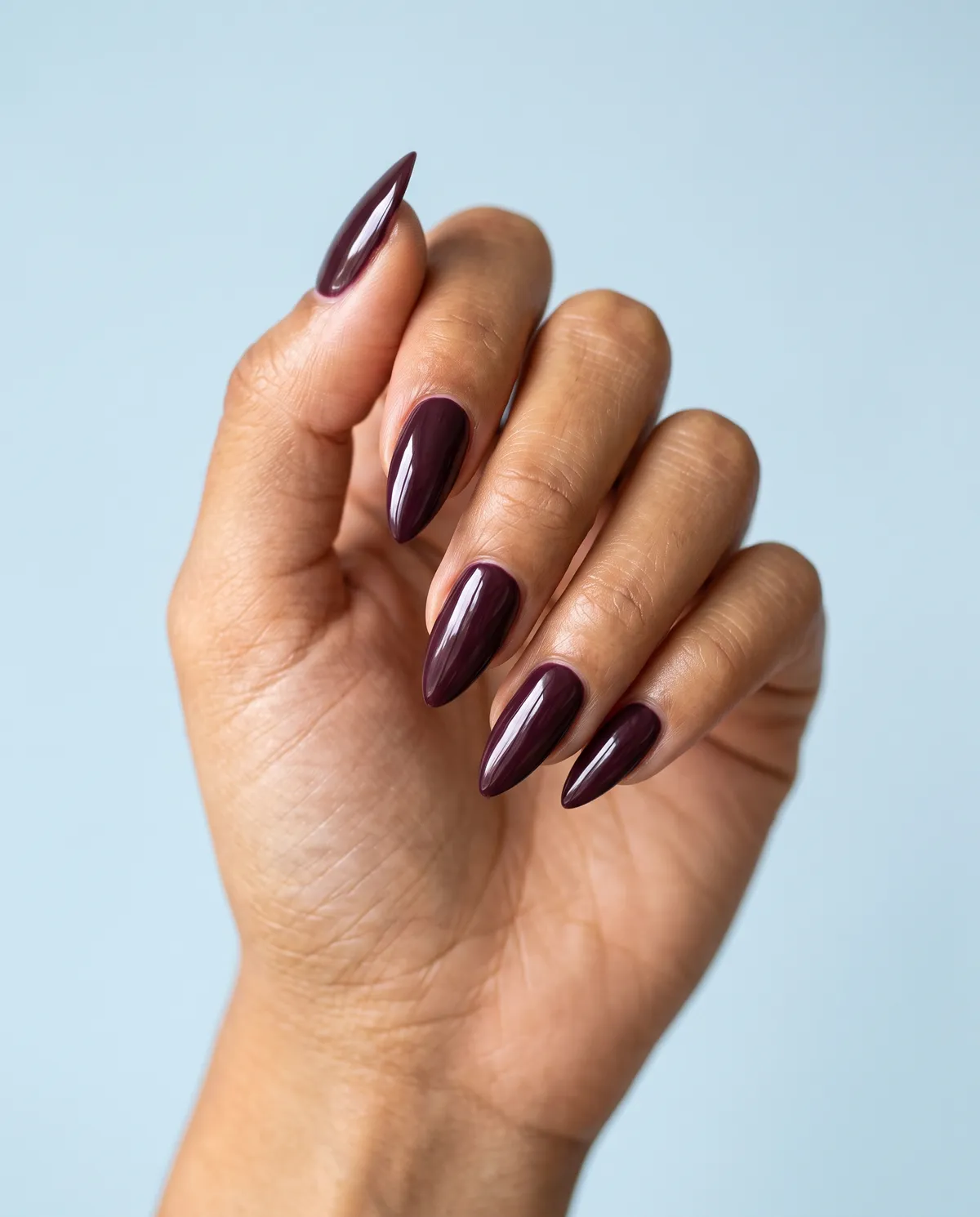Fig & Fireside — stiletto thanksgiving nails with deep fig-plum matte polish on long stiletto nails, no shimmer, full matte top coat